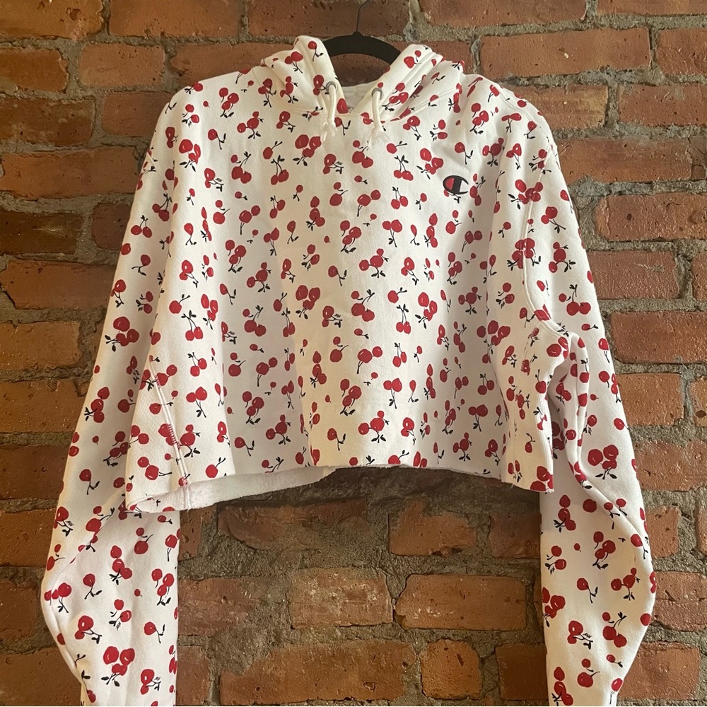Champion HVN Urban Outfitters Cherry Hoodie